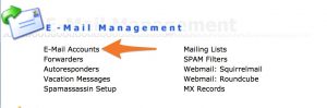 DirectAdmin E-mail management sectie
