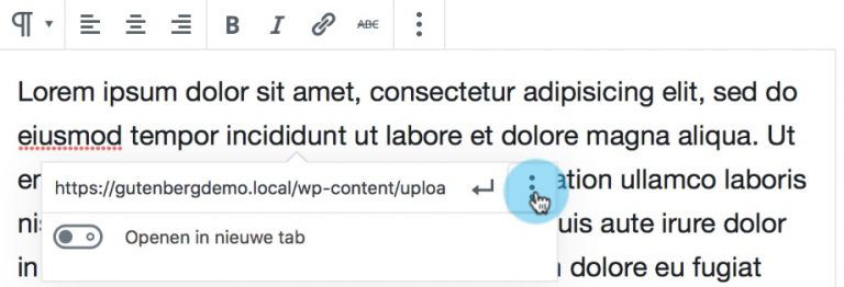 PDF plaatsen om te downloaden met link of vanuit